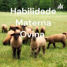 Habilidade Materna Ovina