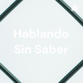 Hablando Sin Saber