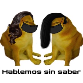 Hablemos Sin Saber