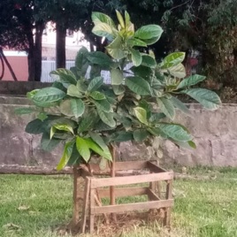 ¡Hacia La Nueva Humanidad!