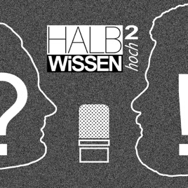 Halbwissen hoch 2
