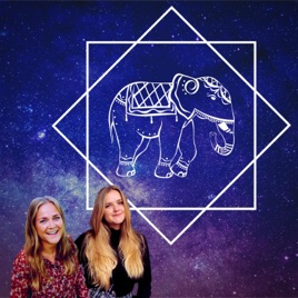 HAR DU SET MIN ELEFANT?