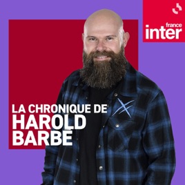 Harold Barbé : moi ce que j'en dis
