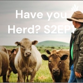 Have you Herd? S2EP1
