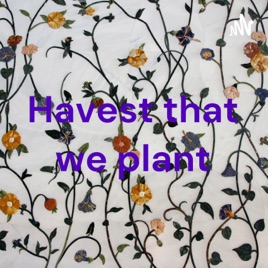 Havest that we plant