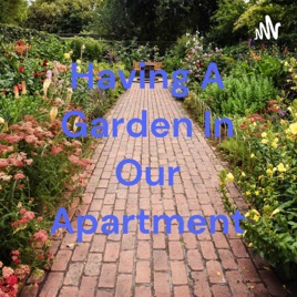 Having A Garden In Our Apartment