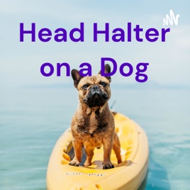 Head Halter on a Dog