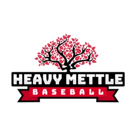 Heavy Mettle Baseball Podcast