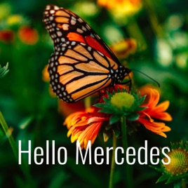 Hello Mercedes
