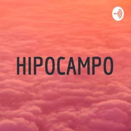 HIPOCAMPO
