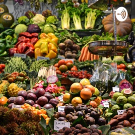 Hipocrátes Alimentação e Saúde.