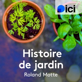 Histoire de jardin aujourd'hui en Lorraine - ICI Lorraine