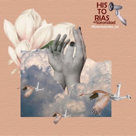 Historias de Sororidad - Estamos Juntas