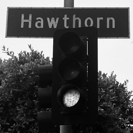 Hollywood On Hawthorn