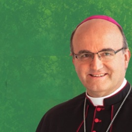 HOMILÍAS de Mons. Munilla