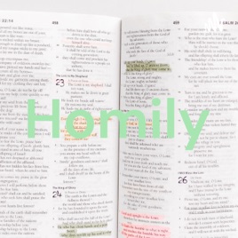 Homily