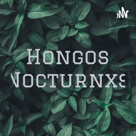 Hongos Nocturnxs