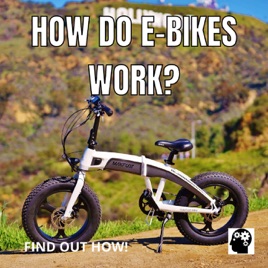 How Do E-Bikes Work?