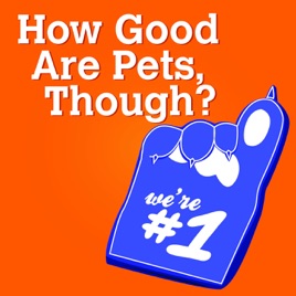 How Good Are Pets, Though?