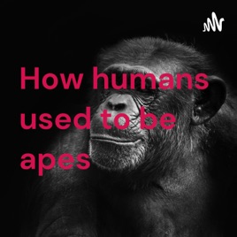 How humans used to be apes