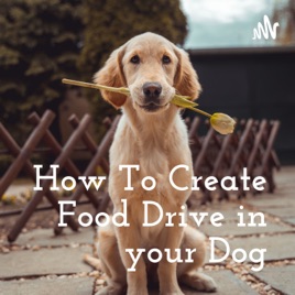 How To Create Food Drive in your Dog
