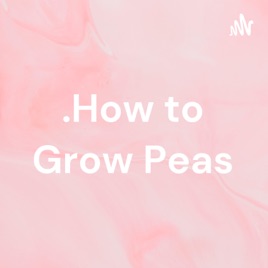 .How to Grow Peas