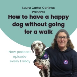 How to have a happy dog without going for a walk