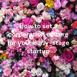 How to set a corporation culture for your early-stage startup