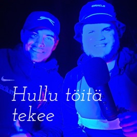Hullu töitä tekee