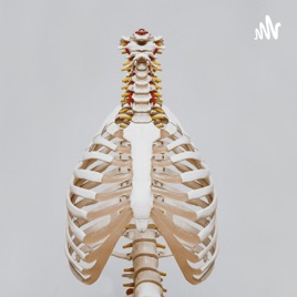 Human Body
