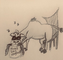 HumpdayHangover