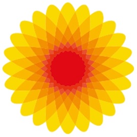 IBIZAFAMILY | INOE