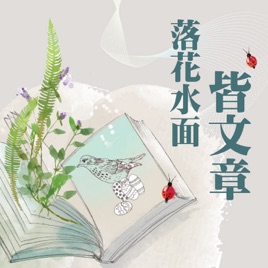 IC之音|落花水面皆文章