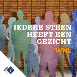 Iedere Steen heeft een Gezicht