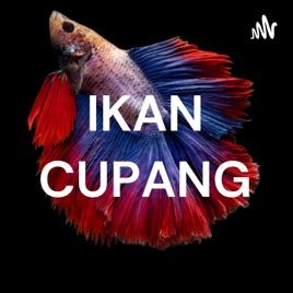 IKAN CUPANG