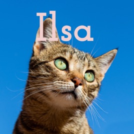 Ilsa