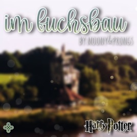 Im Fuchsbau