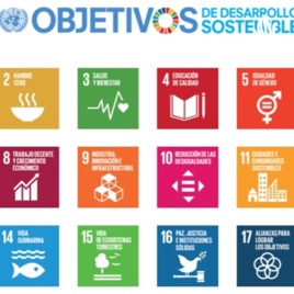 Impacto De la ONU En Guatemala Y El Mundo