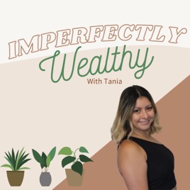 Imperfectly Wealthy