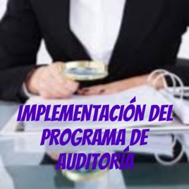 IMPLEMENTACIÓN DEL PROGRAMA DE AUDITORÍA