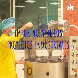 IMPORTACIA DE LOS PROYECTOS INDUSTRIALES