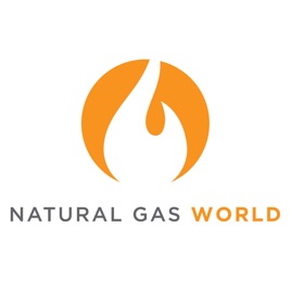 In a Nutshell by Natural Gas World