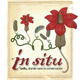 In Situ Radio