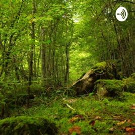 In the Big wild forest -SURVIVE-