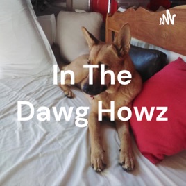 In The Dawg Howz