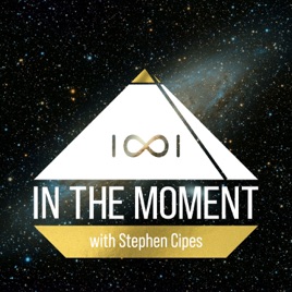 In The Moment with Stephen Cipes