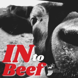 IN to BEEF