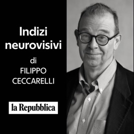 Indizi neurovisivi