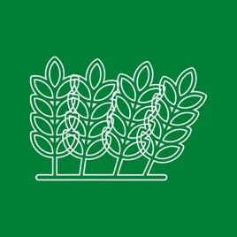 Informazione Agroalimentare