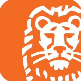 ING Sector inzichten
